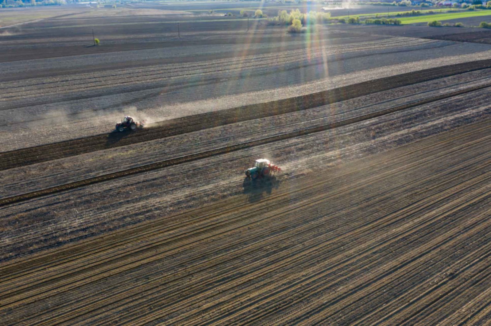 stripes-of-agricultural-parcels-of-different-crops-2026-01-09-07-44-12-utc